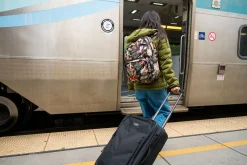 Carry On Roller Bag 42L - Mulled Basil