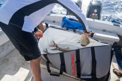 Freestanding Fish Bag 4'
