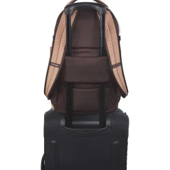 Verge Backpack 25L - Mulled Basil